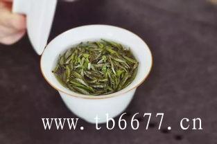 白牡丹茶多少钱一斤
