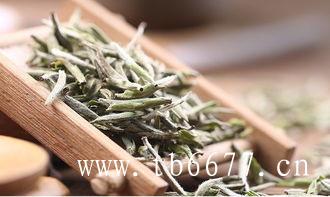 白茶老贡眉的价格,福鼎白茶茶树特征