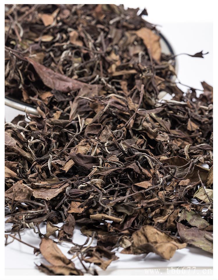 贡眉白茶独特的品种,福鼎白茶的特征