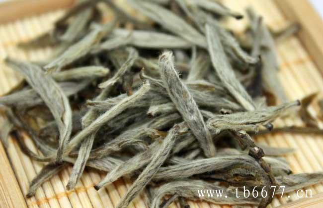 白茶有哪些泡法