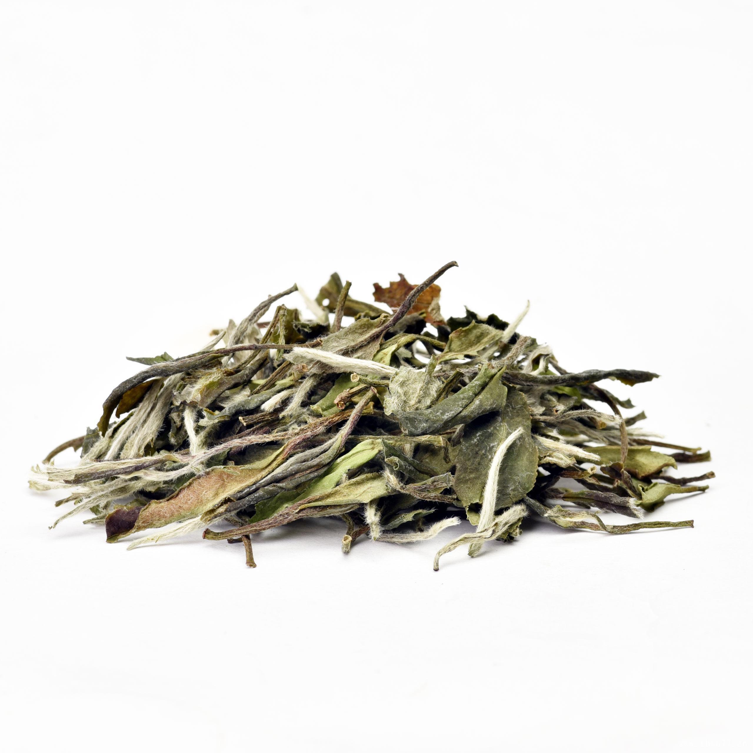 云南白茶的工艺与品种,云南大叶种制作，独具特色,云南白茶的工艺与品种