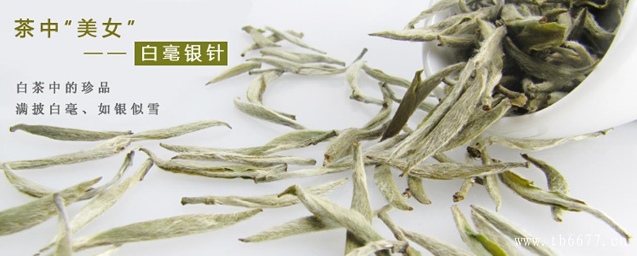 煮老白茶需要洗茶吗？