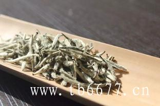 七蒲茶业白牡丹白茶,白茶性寒凉，功同犀角，为麻疹圣药,七蒲茶业白牡丹白茶