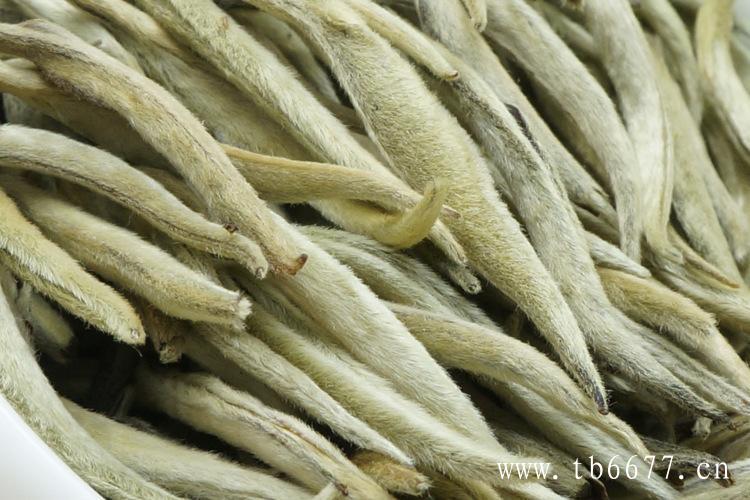 福鼎白茶制作工艺流程