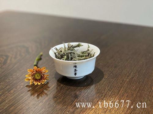 福鼎白茶一年茶如何泡？