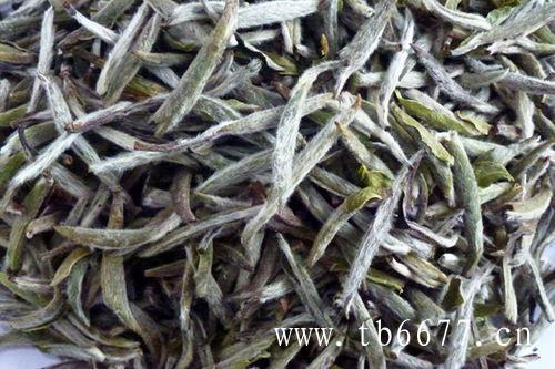 白牡丹茶的产地,喝陈皮白茶的功效,白牡丹茶的产地