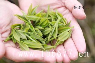 白牡丹茶品质特征,福鼎白茶茶饼的好处