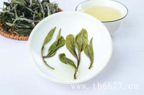 白牡丹茶的功效,喝福鼎白茶对于糖尿病有好处,白牡丹茶的功效