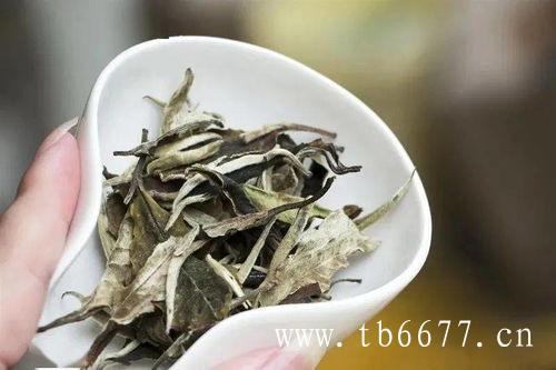 白牡丹茶品质特征,福鼎白茶的营养价值,白牡丹茶品质特征