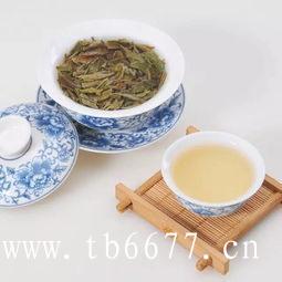 白毫银针冲泡步骤,福鼎白茶老白茶白牡丹茶饼