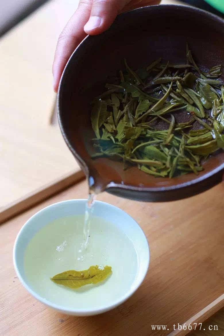 白牡丹茶冲泡要点,白毫银针的冲泡步骤,白牡丹茶冲泡要点