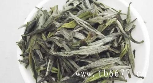 白牡丹茶属于白茶,白毫银针白茶产地自然资源丰富