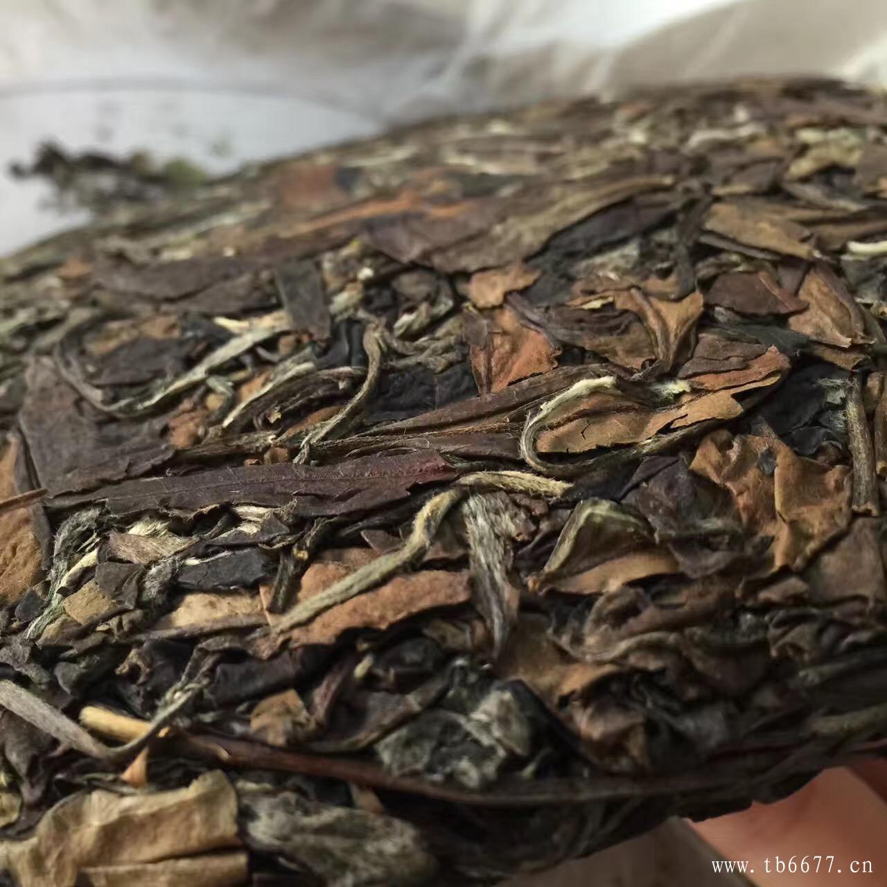 老枞茶的品质特征