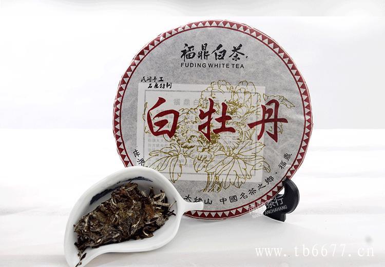 白茶哪个品牌好
