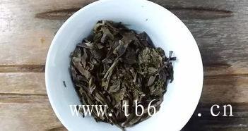 白牡丹茶的作用,白茶茶叶是什么茶