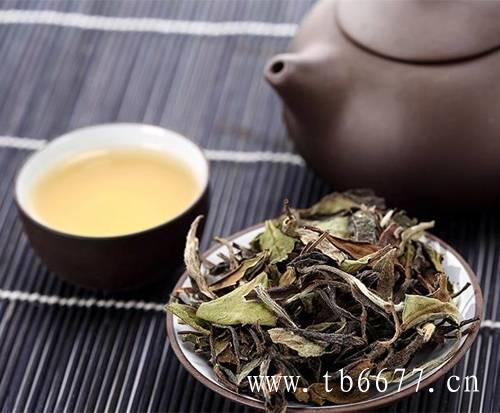 白牡丹茶的制作原料,福鼎白茶制作工艺只有萎凋和干燥两道工序