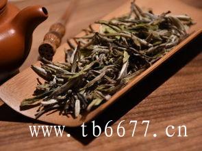 白茶最好的产地在磻溪