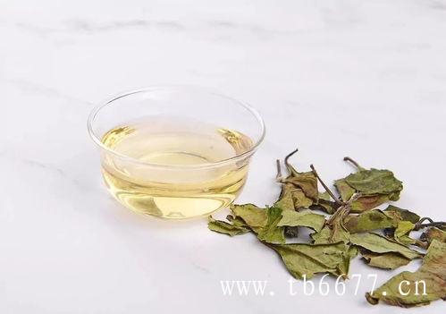 白毫银针的基本介绍,福鼎白茶的品质特征