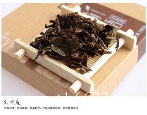 白茶冲泡步骤
