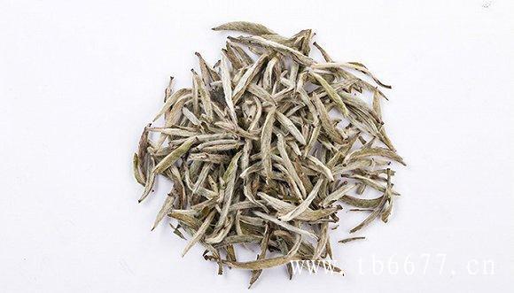 白牡丹茶的保质期,白毫银针的品质特征,白牡丹茶的保质期