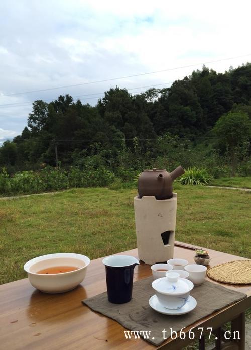 枸杞白茶的功效
