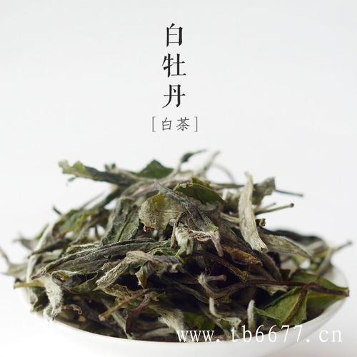 什么在决定茶叶价格？