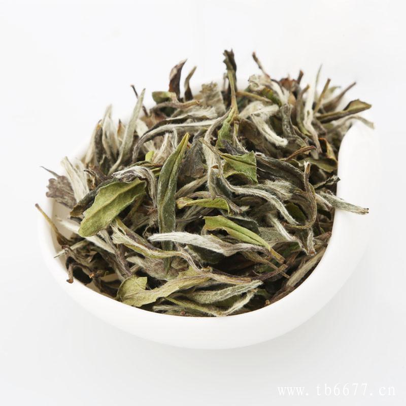 白牡丹茶可以放多久,紫砂壶冲泡老白茶的注意事项