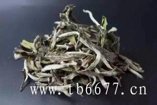 新茶的泡法