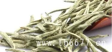 白毫银针属于什么茶类,福鼎白茶紫砂茶壶泡法,PART／