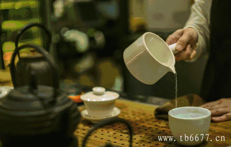 白牡丹茶四种泡法
