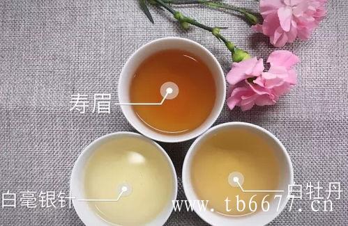 白牡丹茶的制作工艺,白毫银针的品质特征,白牡丹茶的制作工艺