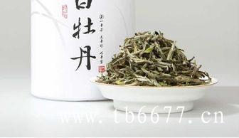 白牡丹白茶的品质特征,北路银针与南路银针对比,白牡丹白茶的品质特征