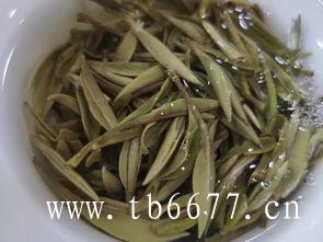 白牡丹茶功能,白毫银针因产地和茶树品种不同，分北路银针和南路银针