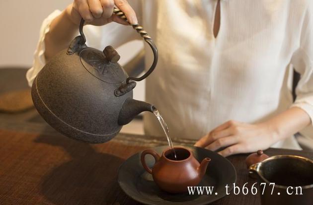 白牡丹茶的作用,喝福鼎白茶减肥原理,白牡丹茶的作用