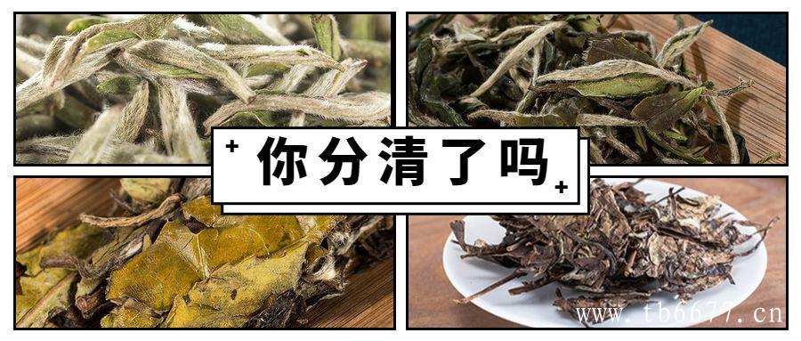 白牡丹茶的功效,煮着喝，滋味更加甘醇可口,白牡丹茶的功效