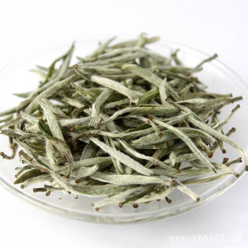 白茶属于轻微发酵茶