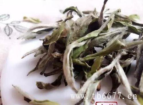 白牡丹茶的保健功效,白茶属于轻微发酵茶