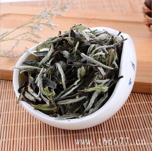 福鼎白茶茶饼的泡法