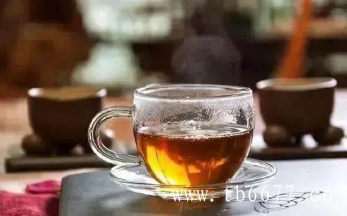 福鼎白茶茶树形态