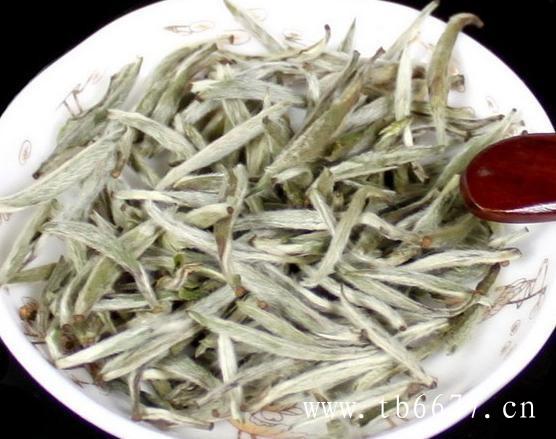 白牡丹茶可以放多久,福鼎寿眉品牌茶的价格
