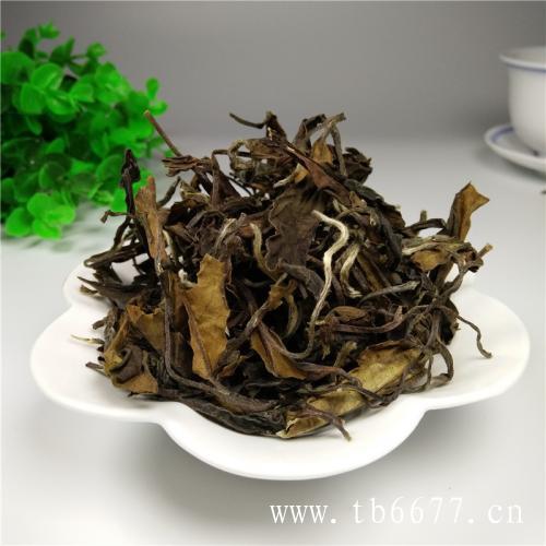 老白茶饼的冲泡步骤