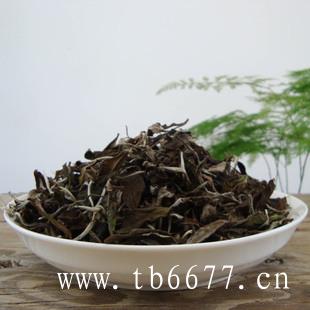 白毫银针的品种,选择药性适合体质的茶,白毫银针的品种