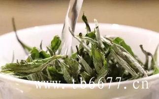 白茶饼适合煮着喝吗？