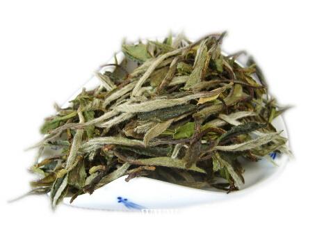 白茶工艺和叶底的关系