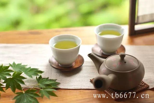 福鼎特级白牡丹王春茶茶叶