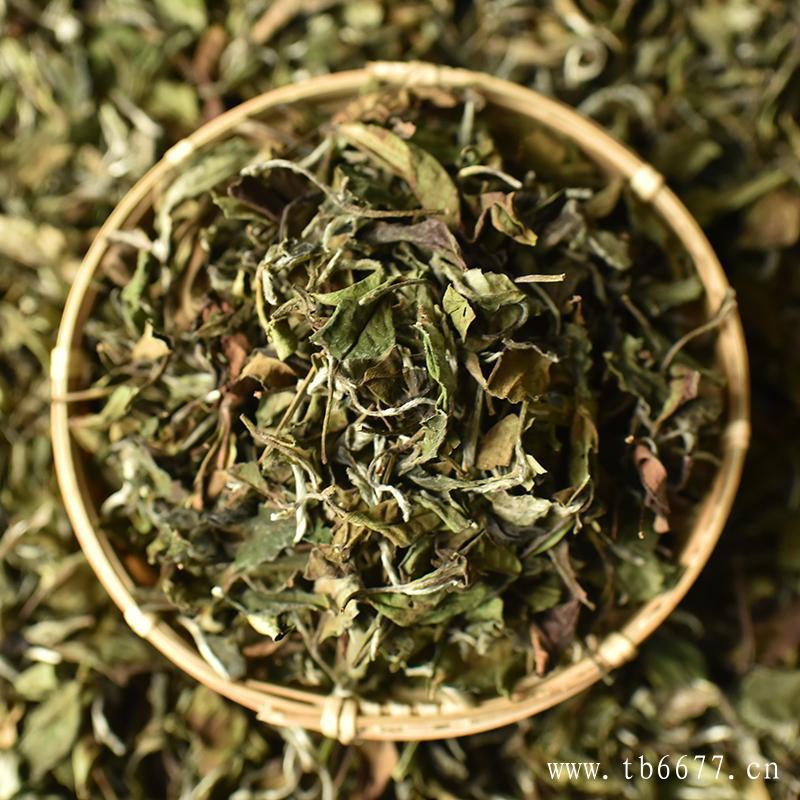 从产地来看，福鼎市是白茶的主要产区。