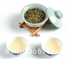 白茶的保存方法,（今早茶农从安吉九龙峡米高山采摘的鲜叶）