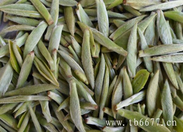 白茶的主要品种有白牡丹白毫银针。