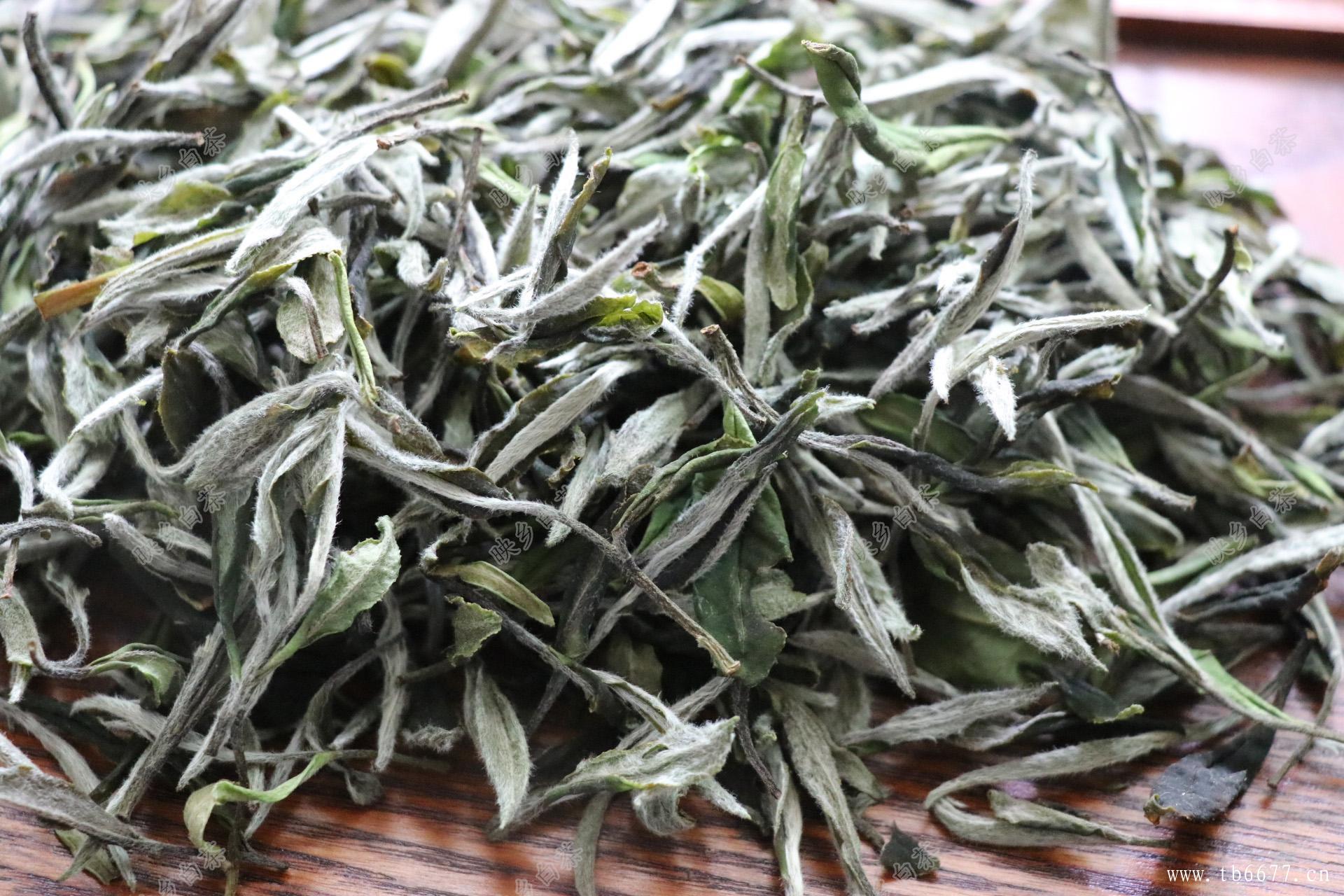 福鼎白茶茶饼怎么喝合适