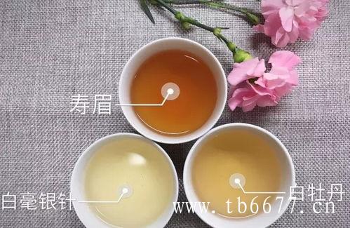 选购白茶不要以貌取茶